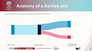 Details Sankey Plot Basics for Energy Efficiency_Dikano Guide