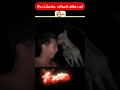 أغرب مواقف للحيوانات هتدهشك ج151 أغرب مواقف للحيوانات هتدهشك ج151