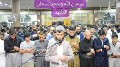 سورة الحجرات | القارئ رزكار الكردي