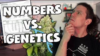 What REALLY Matters About Your Flower | Get to the Joint S4 Ep41