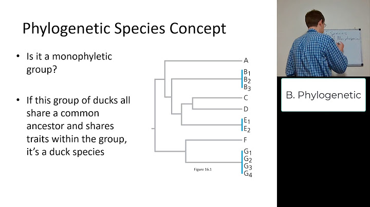 According to the phylogenetic species concept, a species is a population that