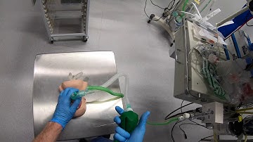 Paediatric Breathing Circuits