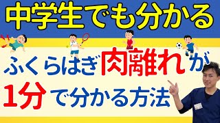 簡単な見分け方 ふくらはぎが肉離れをしているかすぐ分かる3つの検査法 治療家が現場で使うテクニック Youtube