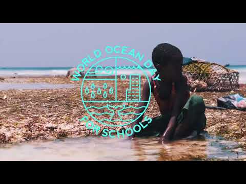 World Ocean Day