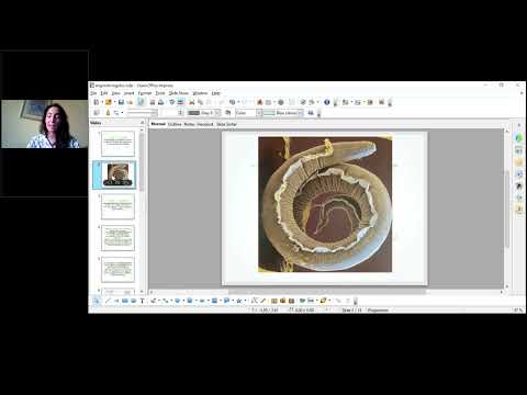 International webinar on