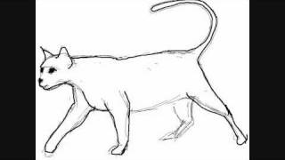 Featured image of post Realistic Cat Walking Drawing At first draw the general outline of a cat sitting still then focus on its head and feet