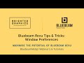 Window Preferences: Brighter Graphics' Bluebeam Revu Video Tutorials