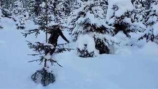 Train Mee Voor De Winter Van 2020