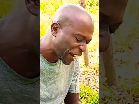 How The Bright Skies Shine On Fish Peanut Ugandan Fufu Millet Bread Village Cooking Viral Shorts 