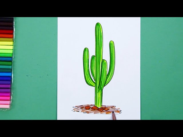 Como desenhar um cacto saguaro  Tutorial de desenho passo a passo