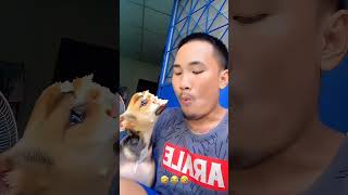 Kwai Funny tiktok : Funny Videos 2025 Chinese Funny Video - #Vikku Gemer #ff #funny  Video#freefire