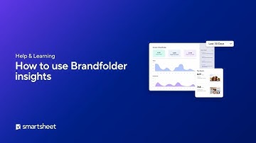 How to use Brandfolder insights