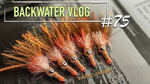 Wacko Redfish Shrimp Fly Tying Video: BACKWATER VLOG 75