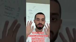 Жизненная энергия перемещается во снах и в тебе.  #shorts #shortsvideo #анардримс #жизньвмоменте