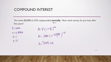 ELF L4 Compound Interest Video