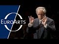Miniature de la vidéo de la chanson The Miraculous Mandarin, Op. 19, Sz 73: Beginning (Allegro)