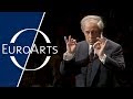 Bartok  der wunderbare mandarin pantomime op 19 sz 73 vienna philharmonic pierre boulez