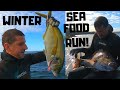 A feed from the coast at the start of winter....Spearfishing and gathering in the shallows!
