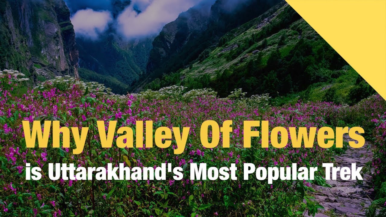 valley of flowers uttarakhand best time to visit