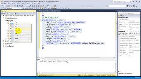 Desarrolla Sistemas en Visual Basic.Net, 4 capas, SQL Server (4)