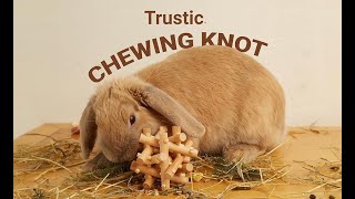 Wooden Chewing Toy for Small Animals, Natural Wood for Rabbit, Guinea Pig, Bunny, Chinchilla