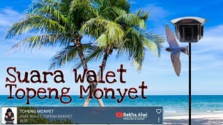 SP. TOPENG MONYET Original By Atax walet