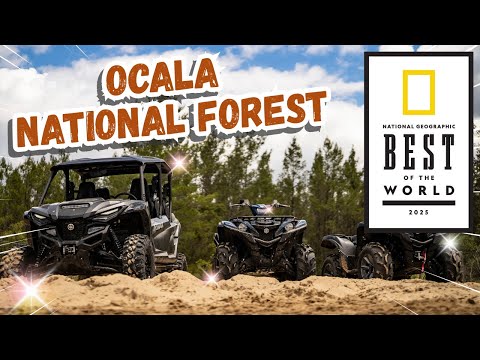 ATV Ocala National Forest | Marion Insider's Guide