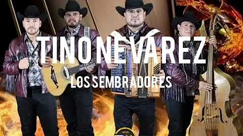 TINO NEVAREZ LOS SEMBRADORES (CON TOLOLOCHE)