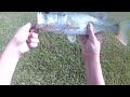 First POV #bassfishing