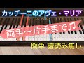 【アヴェ・マリア】カッチーニ／簡単 アレンジ 譜読み無し