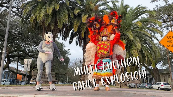 Possum dance explosion!