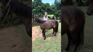 February 2024 I-thou horsemanship video