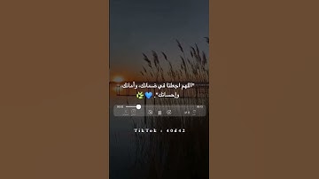 أجمل حالات واتس اب قرأن بصوت القارئ ماهر المعيقلي/#سورة_نوح #القرآن_الكريم #ماهر_المعيقلي/#quran