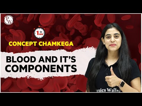 #ConceptChamkega | Blood and it's Components | Biology | Physics Wallah #Shorts