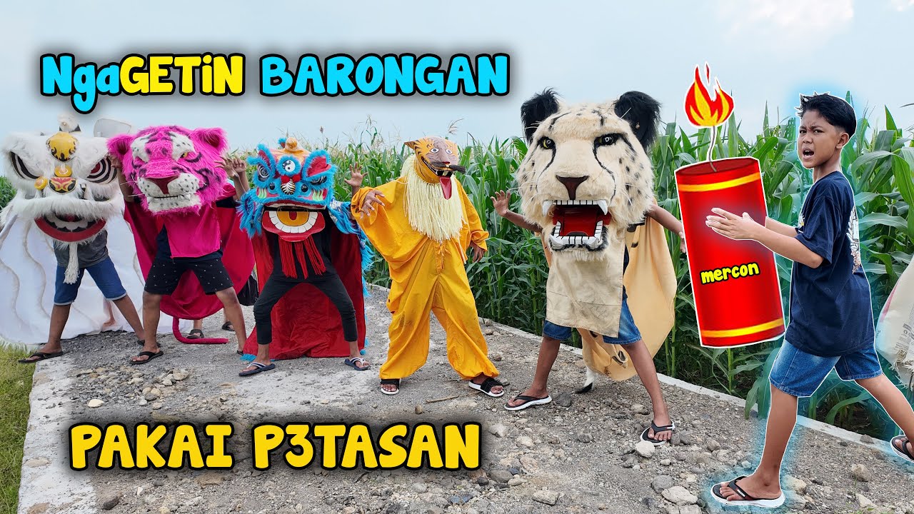 NGAGETIN BARONGAN BARONGSAI PAKAI P3TASAN MERCON  SAMPAI KABUR