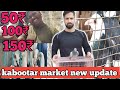 silampur welcome chowk kabootar market l 50₹/100₹/150₹/250₹/ kabutar for sale #kabutarmarket