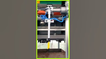 Lilly Processing Line #shorts #lilly #flowers  #technology #automation #dubai