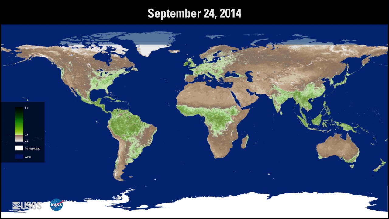 watershed Annual Progression of Global Vegetation with NASA MEaSUREs VIP