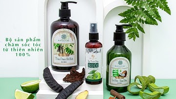 Combo Dầu Gội - Ủ Tóc - Tinh Chất Dưỡng Tóc 100% Thiên Nhiên | B.B Nature