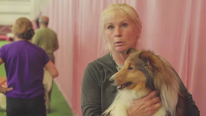 Road to Westminster (RTW): AGILITY DOG TRAINER DIA...
