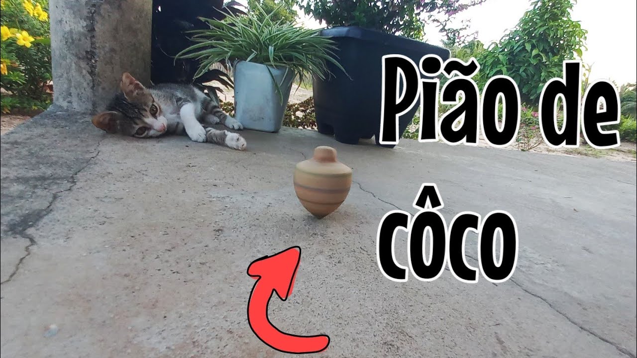 Artesanato. Como fazer um pião. #pião de #coco #babaçu