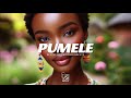 Amapiano Instrumental " PUMELE" x Amapiano x Amapiano type beat |2024