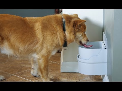 perpetual-well-automatic-water-bowl