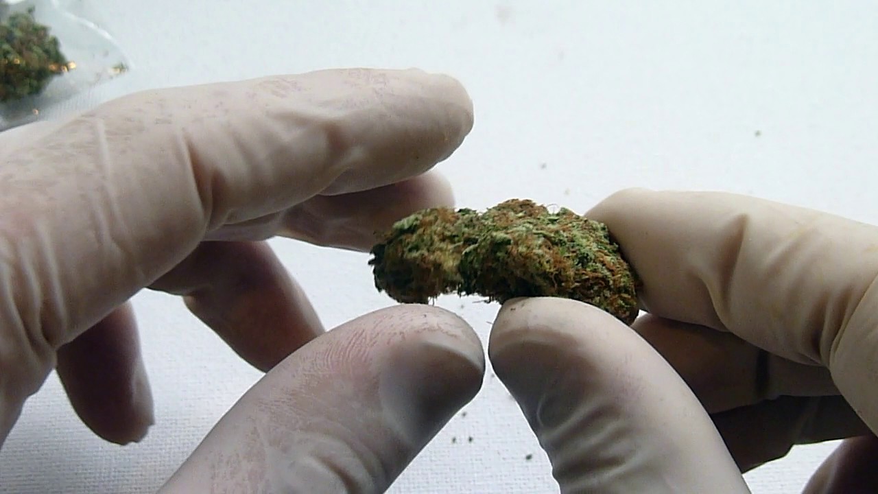 San Fernando Valley OG