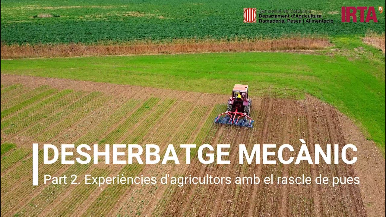 Desherbatge mecànic: Experiències d’agricultors amb el rascle pues