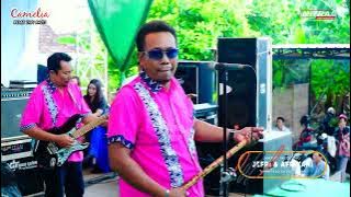 CAMELIA PELAN TAPI PASTI-HABIS GELAP-MARLIN ZAKARIA-HAPPY WEDDING JEFRI & ARIANI-ADR AUDIO-