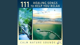 Sauna Relaxation Music for Turkish Bath screenshot 3