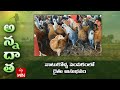 నాటుకోళ్ళ పెంపకంలో రైతు అనుభవం | Profitable Desi poultry farming by Nagarkurnool farmer | ETV