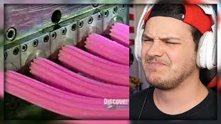 How Gum Is Made - Reaction