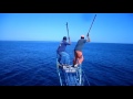 Pesca albacora RENI 547 taltal